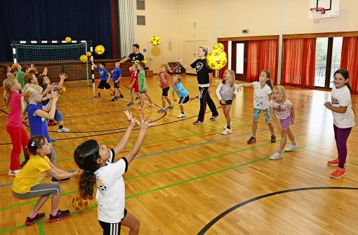Handballprojekte wie dieses in Vaihingen sind das eine, zur Praxis soll im Sport auch mehr Theorie kommen. Foto: Günter E. Bergmann