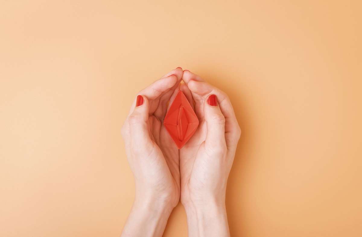 Selber machen vagina Intimrasur für