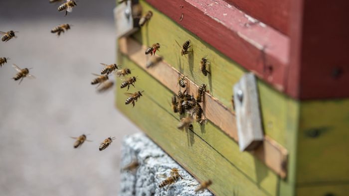 18 000 Unterschriften für Bienen-Volksbegehren