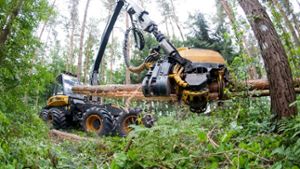 Die Forstwirtschaft spielt im Waldland Baden-Württemberg eine enorme Rolle – entsprechend sensibel ist die Kartellbehörde Foto: dpa