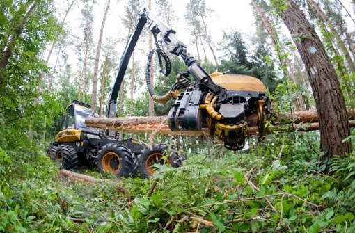 Die Forstwirtschaft spielt im Waldland Baden-Württemberg eine enorme Rolle – entsprechend sensibel ist die Kartellbehörde Foto: dpa