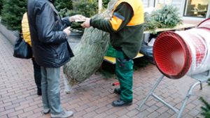 Warum Weihnachtsbäume in Baden-Württemberg  teurer werden