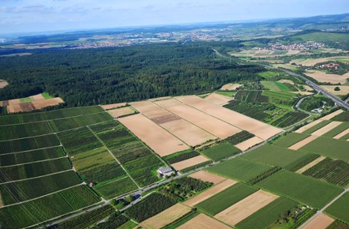 Der Gewerbepark soll auf den Feldern am Autobahnzubringer entstehen. Foto: Werner Kuhnle
