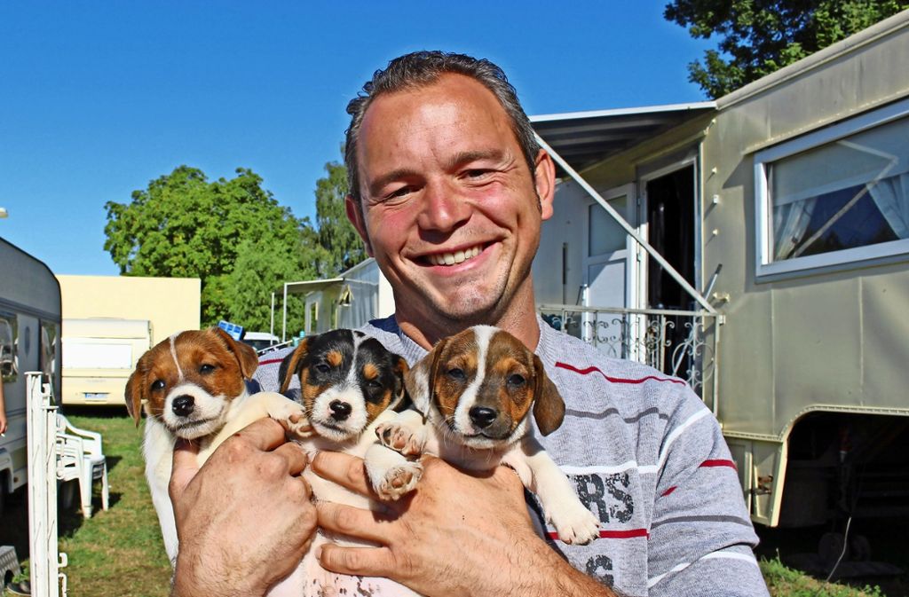 Giuliano Frank ist froh, dass seine drei kleinen Jack-Russel-Terrier wiedervereint sind.  Sam (rechts) war gestohlen worden. Foto: Caroline Holowiecki