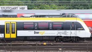 Die verschiedenen Verkehrsverbünde in Baden-Württemberg machen Bahnfahrern das Leben schwer. Der BW-Tarif soll Abhilfe schaffen. Foto: dpa