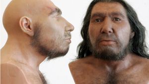 So könnte er ausgesehen haben – der Homo neanderthalensis (Büsten im Rheinischen Landesmuseum in Bonn). Foto: dpa