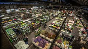 Blick in die Verkaufshalle des Blumengroßmarkts Foto: Lichtgut/Julian Rettig