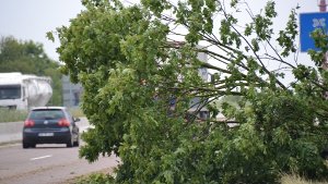 Ein beim Gewitter umgestürzter Baum liegt am Autobahnkreuz Heidelberg. Foto: dpa