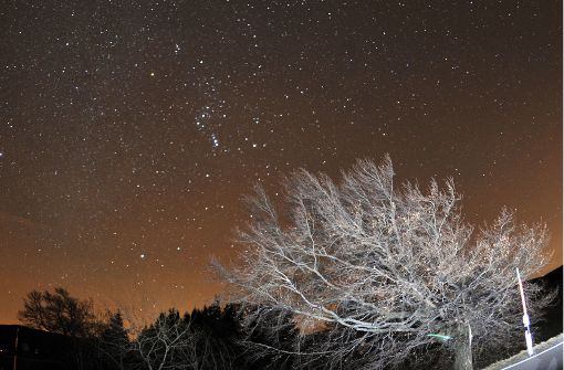 In der Nacht von Freitag auf Samstag erreicht der Sternschnuppenstrom der Leoniden seinen Höhepunkt Foto: dpa