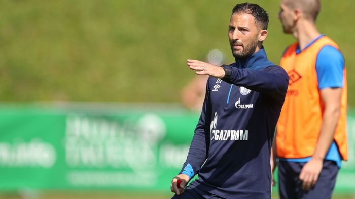 Domenico Tedesco verlängert Vertrag beim FC Schalke 04