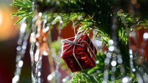 Zehn Bäume der Erkenntnis – das Weihnachtsrätsel