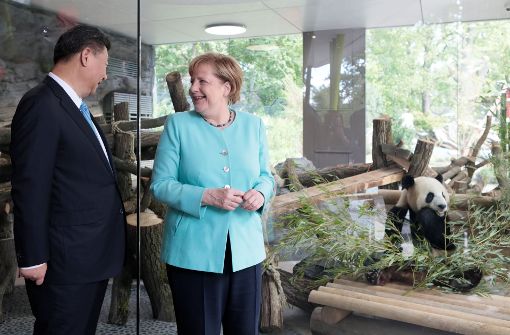 Termin im Zoo: Xi übergibt Merkel und damit irgendwie auch Deutschland zwei Pandabären. Foto: AFP