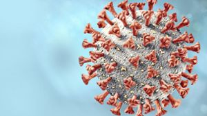 Eine Illustration des neuartigen Coronavirus Sars-Cov-2 Foto: Adobe Stock/Ingo Bartussek