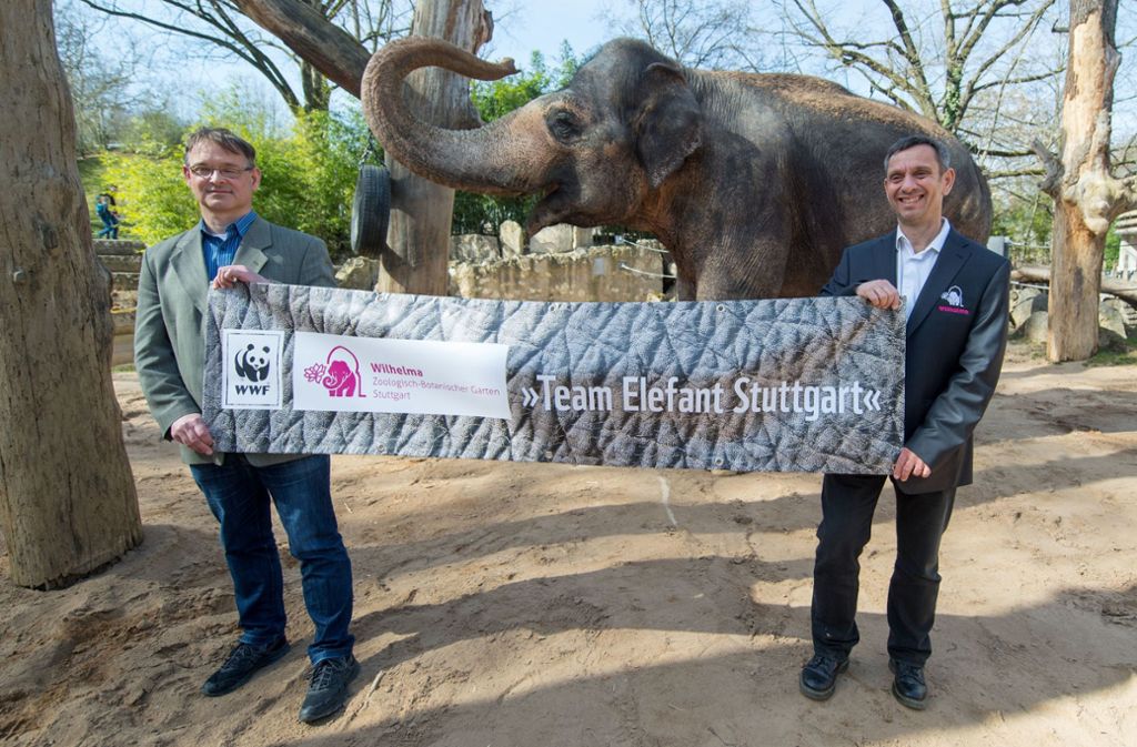 Gemeinsamer Einstaz für die Elefanten: Thomas Ziegler (WWF, links) und Thomas Kölpin (Wilhelma)