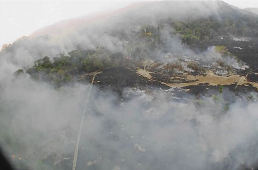 Die Waldbrände in Brasilien sind die schwersten seit Jahren. Foto: dpa