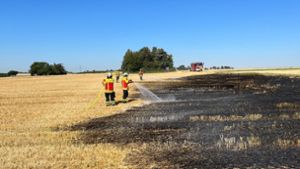 Die Feuerwehr hat das Feld gelöscht. Foto: Freiwillige Feuerwehr Kornwestheim