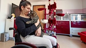 Sie liebt Katzen – und Kinder: die Kinderpflegerin Alexandra Stefania ist ungewollter Weise wieder auf Jobsuche. Foto: factum/Granville
