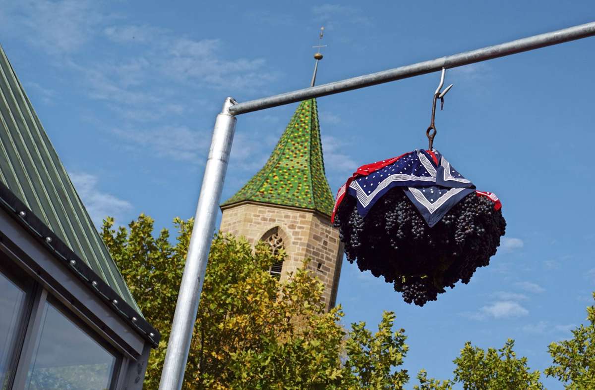 In Beutelsbach wird wieder der Kirbetrauben aufgehängt. Foto: Weinstadt/Niederberger
