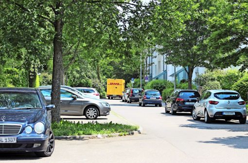 Aufgrund der parkenden Autos kann oft der Müll nicht abgeholt werden. Foto: Holowiecki