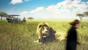 Afrika – dargestellt auf einem Safari-Poster auf einer Tourismus-Messe. Foto: dpa