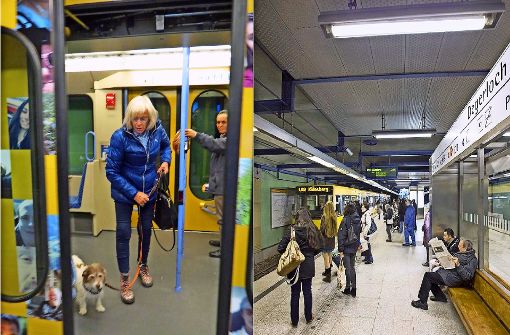 Seit dem Unfall an der Stadtbahn-Haltestelle „Degerloch“ fährt der Hund Anton nur noch ungern Bahn. Foto: Bosch
