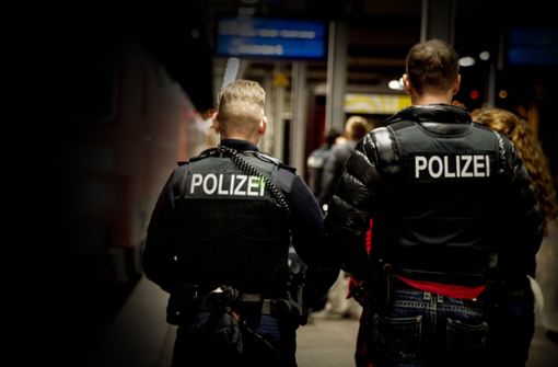 Die Polizisten kontrollierten den Mann am Stuttgarter Hauptbahnhof. (Symbolbild) Foto: Lichtgut/Leif Piechowski