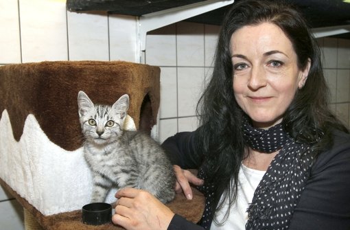 Gabriele Sengpiel ist Tierärztin aus Berufung. Foto: factum/Bach