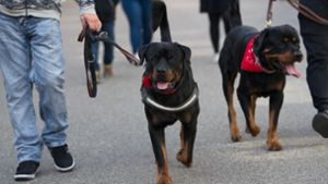 Hunderte Rottweiler-Besitzer aus ganz Deutschland haben sich zur Demo in Rottweil getroffen. Foto: dpa/Ralf Graner