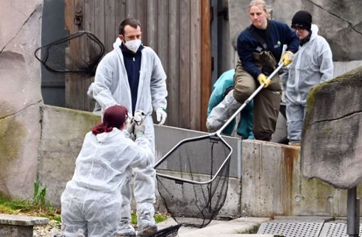 Nach einem Vogelgrippe-Nachweis bleibt der Zoo in Karlsruhe für Besucher weiterhin geschlossen. Foto: dpa/Uli Deck