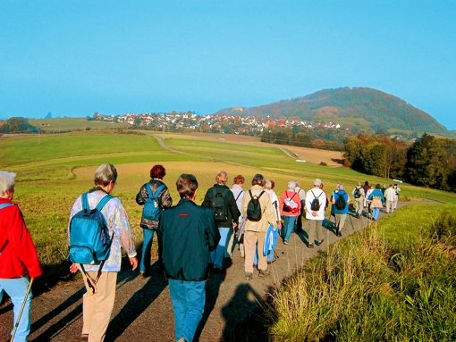 Eine Wanderung der Ortsgruppe Vaihingen des Schwäbischen Albvereins führte vergangenes Jahr zu den Kaiserbergen. Foto: z
