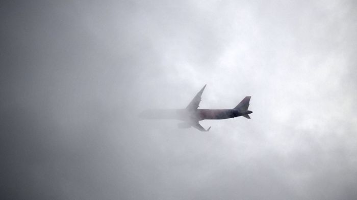 Buchtipp: Hervé le Tellier, „Die Anomalie“: Ein Flugzeug voller Wiedergänger