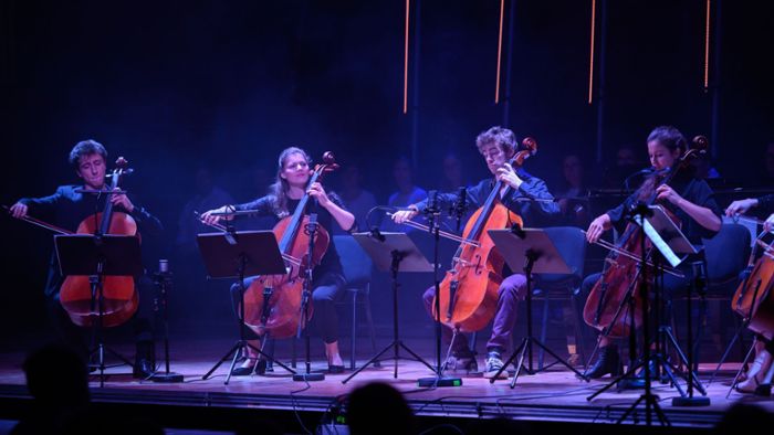 Cello-Akademie verspricht Konzerte auf Top-Niveau