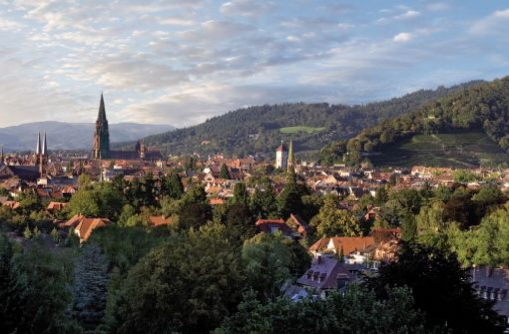 Blick auf die selbst ernannte Umwelthauptstadt Freiburg Foto: Siedlungswerk