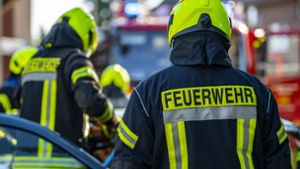 Mehrere Feuerwehren waren am Samstagnachmittag in Sersheim im Einsatz. Foto: David Inderlied