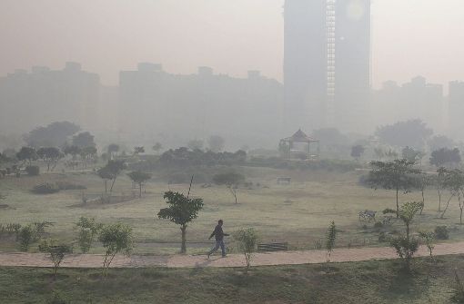Ein Mann macht seinen Morgenspaziergang in einem Park am Rand der vom Smog vernebelten Metropole Delhi. Foto: dpa
