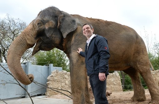 Das erste große Projekt des neuen Wilhelma-Chefs Thomas Kölpin ist das Elefanten-Gehege. Foto: dpa