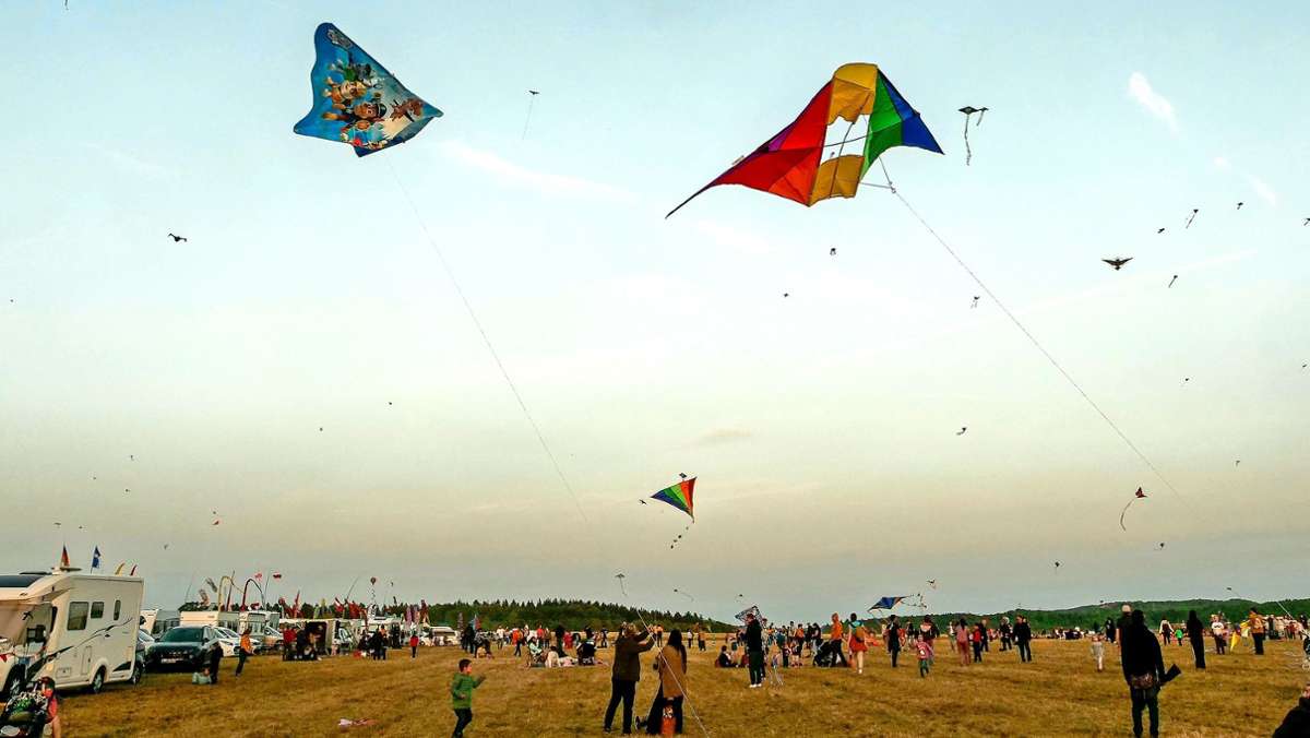 Drachenfest in Malmsheim: Kaum Wind, aber Tausende Besucher