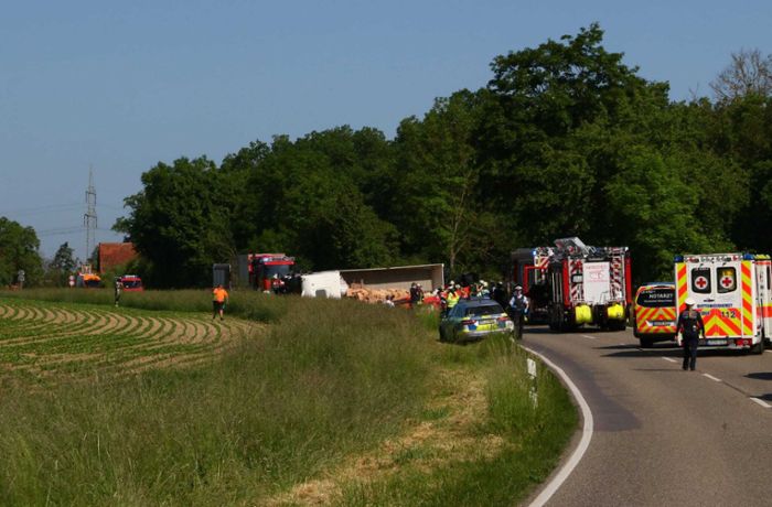 Kreis Ludwigsburg: Auto und Lastwagen kollidieren – 37-Jährige stirbt