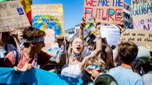 Eine Klima-Demo der Bewegung Fridays for Future – laut einer Studie tickt die Jugend ernst und politisch. Foto: dpa/Marcel Kusch