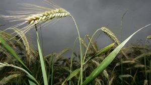 Bauern bekommen Hilfe im Kampf gegen Wetterextreme