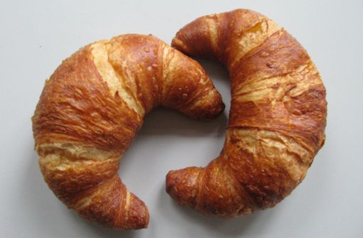 Das „bedrohliche“ Tier in einem Krakauer Wohngebiet stellte sich als vergammeltes Croissant heraus (Symbolbild). Foto: Wikipedia commons/Sundar1/CC BY-SA 3.0