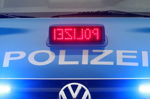 Die Polizei sucht Zeugen zu dem Diebstahl in Murr. Foto: dpa/Roland Weihrauch