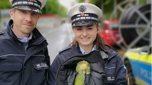 Dieses Foto mit dem Papageien hat die Polizei Stuttgart auf Facebook veröffentlicht. Foto: Screenshot Facebook