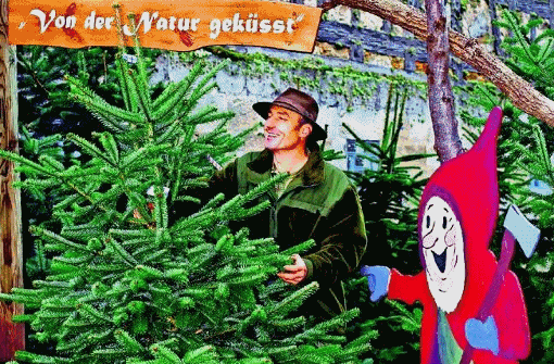 Zwölf Jahre begleitet Harald Müller seine Pflanzen vom Sprössling bis zum Weihnachtsbaum.  Foto: Müller Mittelmühle