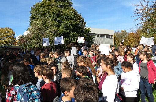 Vor wenigen Tagen demonstrierten Schüler des Wilhelms-Gymnasiums in Stuttgart-Degerloch wegen des Raumproblems. Foto: Julia Bosch