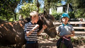 Der tägliche Umgang mit den Ponys macht den Kindern im Elsental Spaß. Foto: Lichtgut/Zweygarth