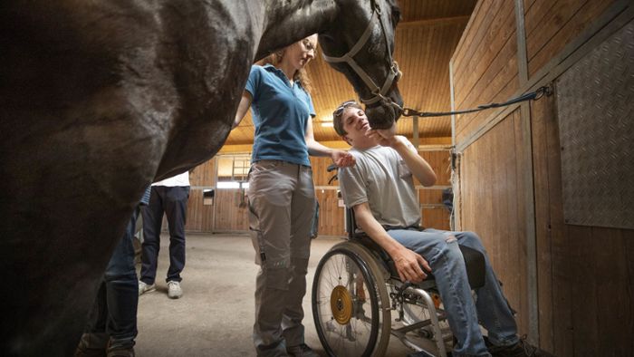 Therapie mit Pferdestärke