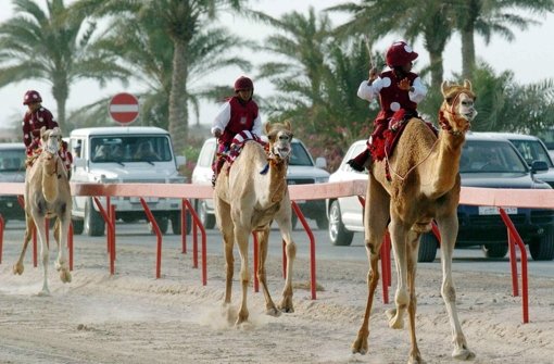 Einheimische auf Kamelen in Katar Foto:  