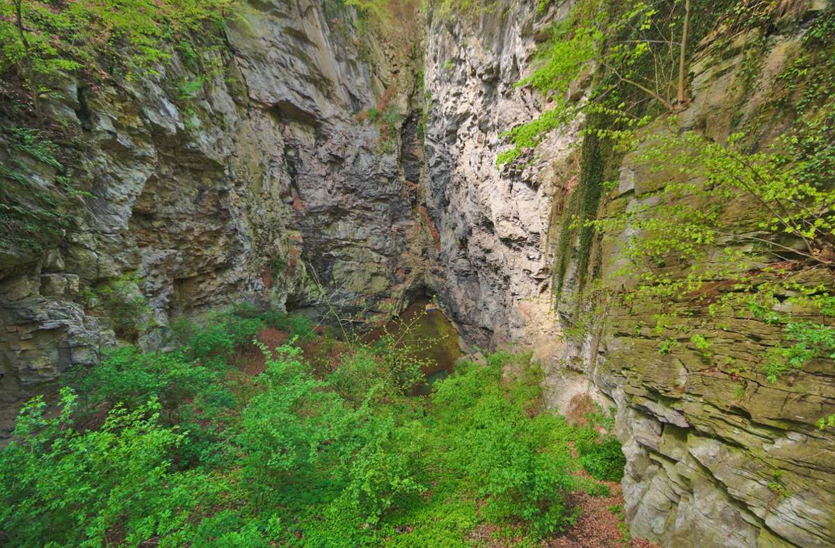 Anders als bei vielen Karsthöhlen etwa auf der Schwäbischen Alb ist der Hranická propast  nicht durch einsickerndes Regenwasser entstanden, sondern durch angesäuertes Wasser, dass aus den unteren Schichten der Erdkruste nach oben quillt.
