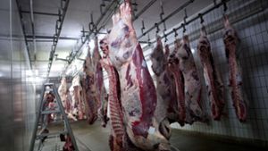 Die Fleischindustrie ist durch die Corona-Fälle in den Fokus geraten. Foto: dpa/Emily Wabitsch